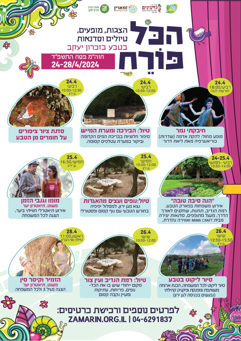 הכל פורח - פעילות לכל המשפחה בפסח